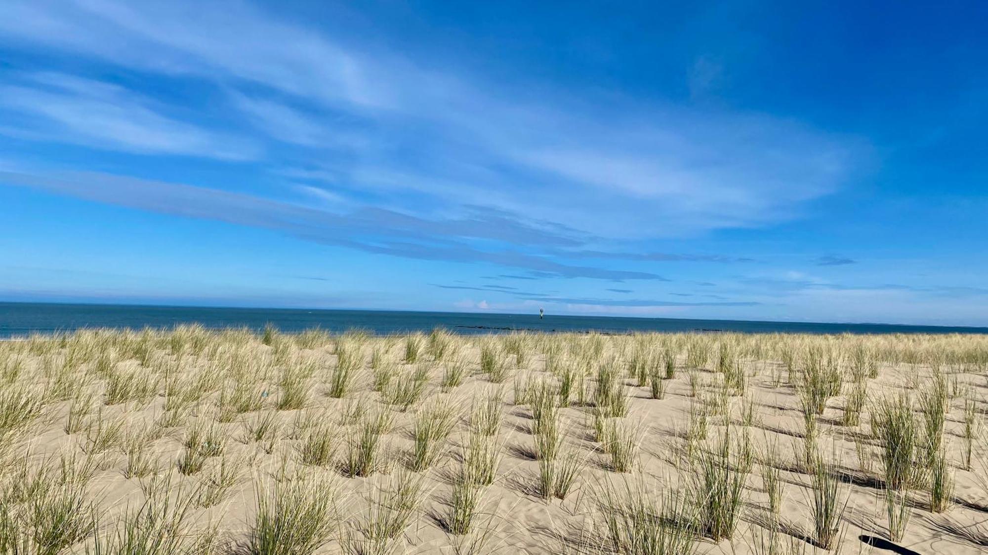 Royal Knokke Lägenhet Exteriör bild