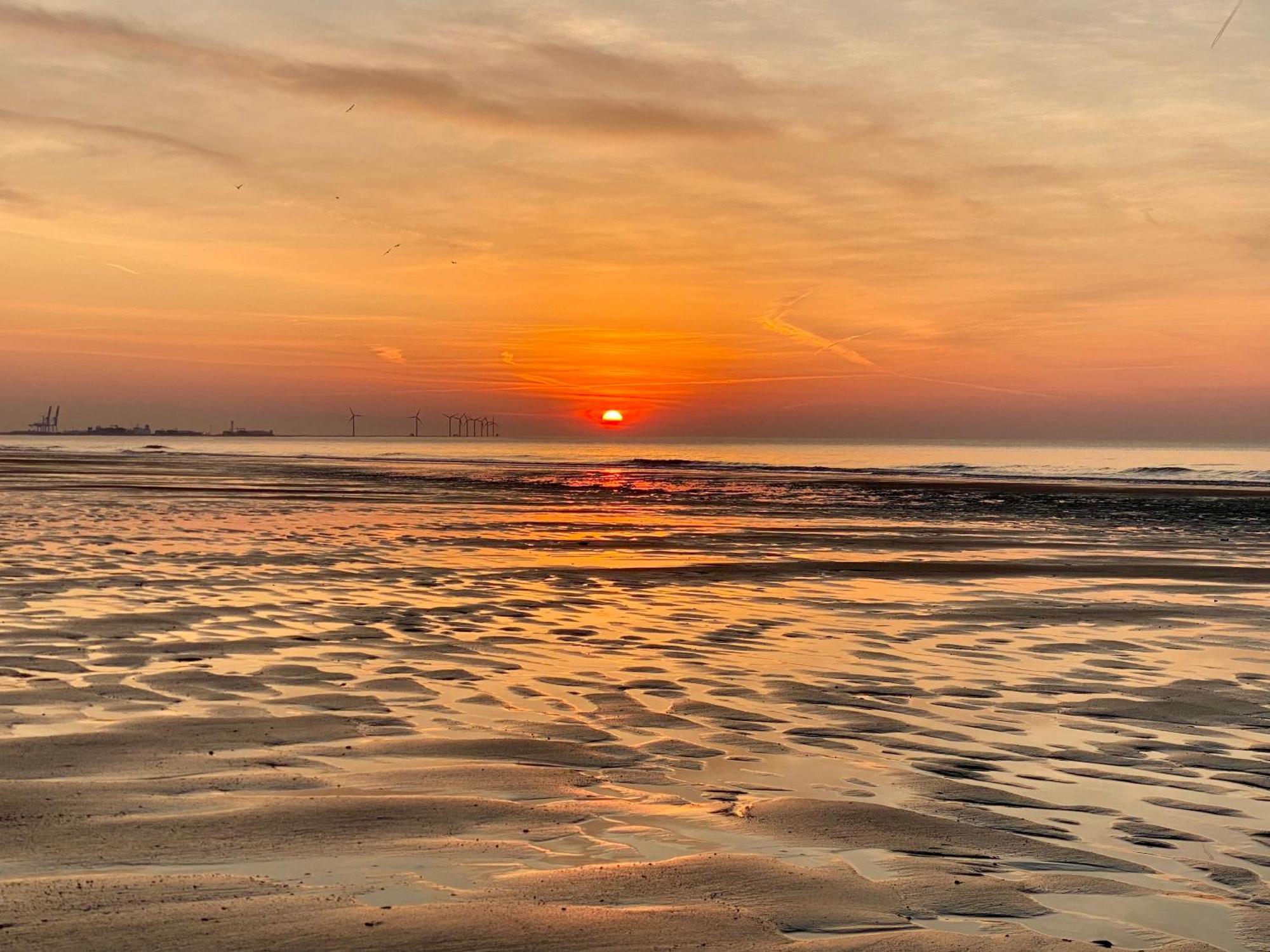Royal Knokke Lägenhet Exteriör bild